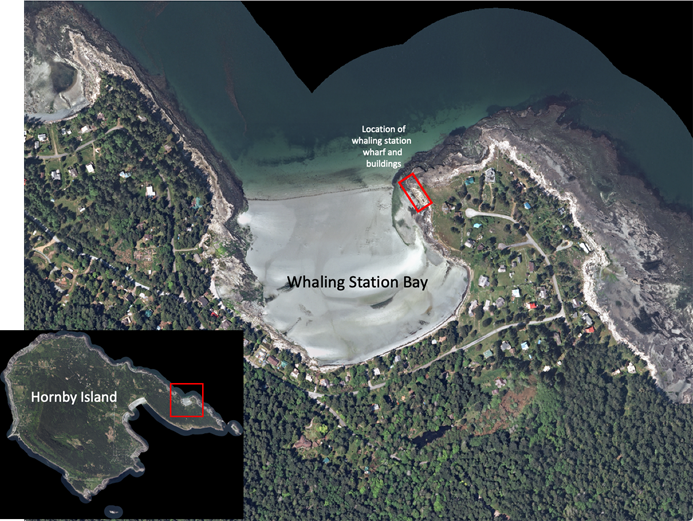 Location of Dawson Douglass & Co.&nbsp;whaling station on Hornby Island